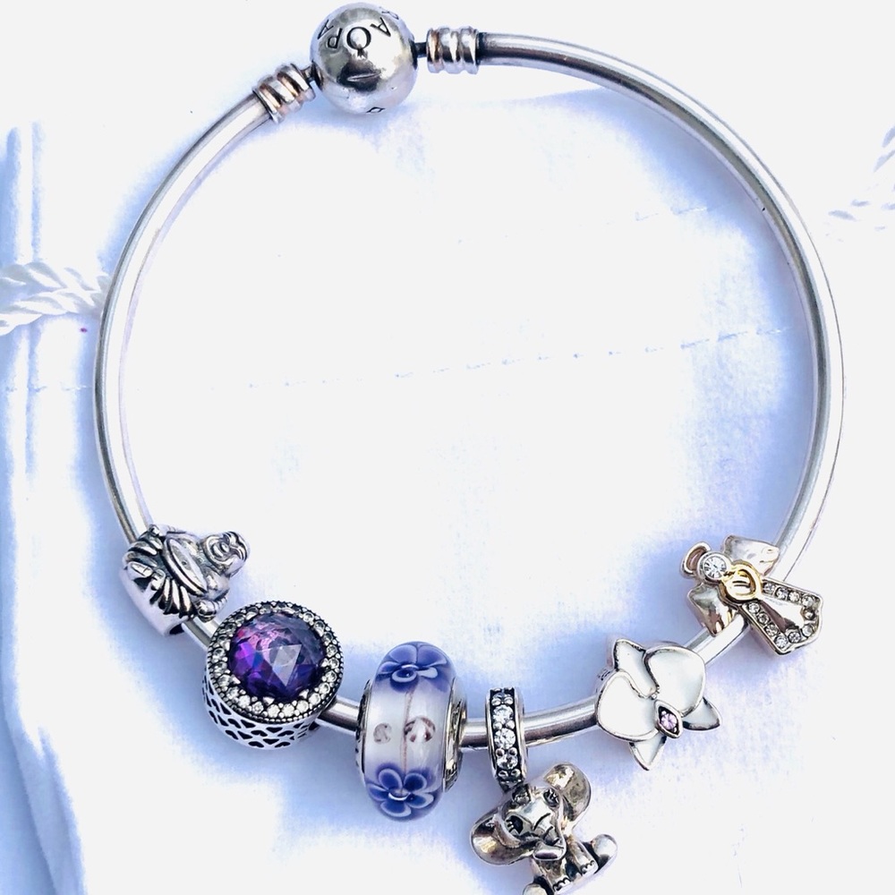 PANDORA Bracelet W/ Charms ‘spiritual components’